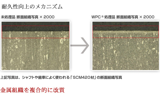 耐久性のメカニズム